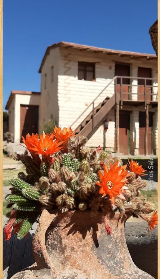 El Sol Hostel De Humahuaca Bagian luar foto